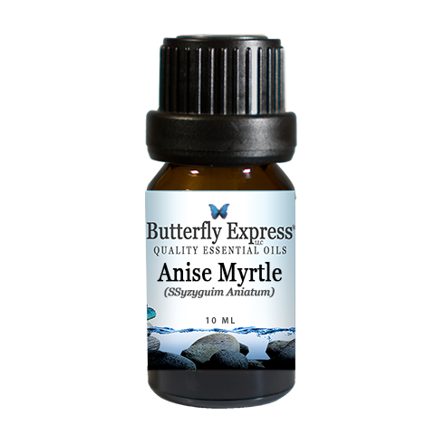 Anise Myrtle