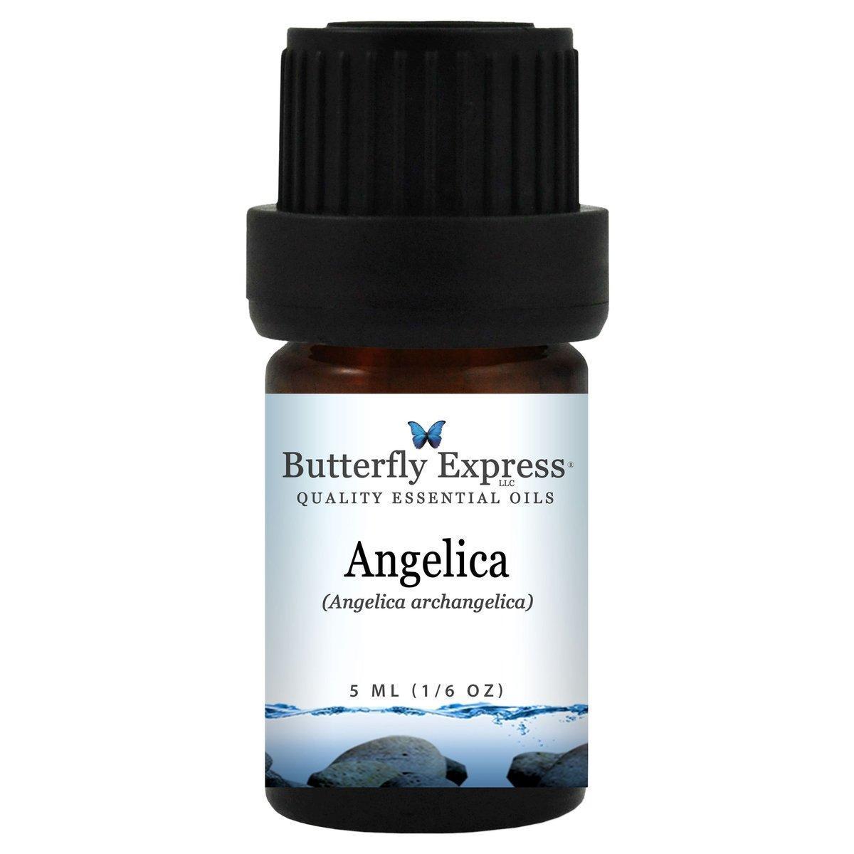 Angelica essential oils
