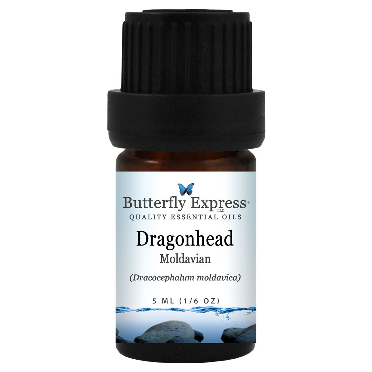Dragonhead Essential Oil
