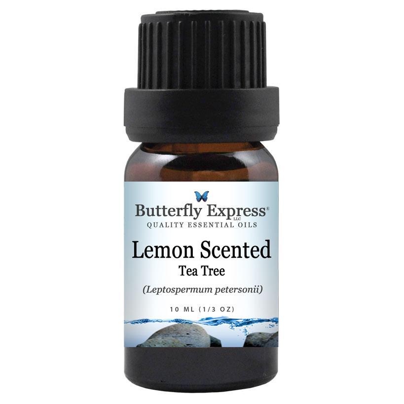 lemon scented tea tree